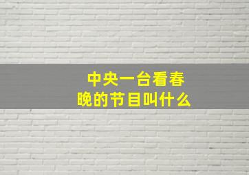 中央一台看春晚的节目叫什么