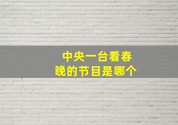 中央一台看春晚的节目是哪个