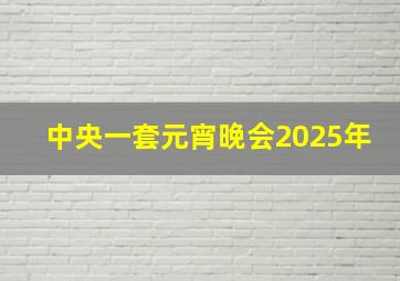 中央一套元宵晚会2025年