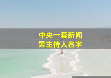 中央一套新闻男主持人名字