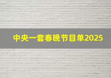 中央一套春晚节目单2025