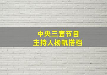 中央三套节目主持人杨帆搭档