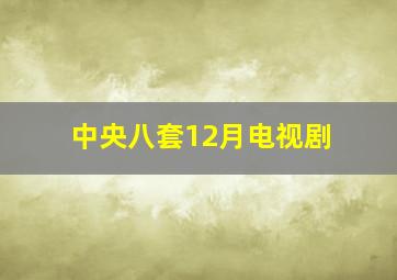 中央八套12月电视剧