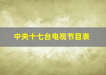 中央十七台电视节目表