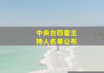 中央台四套主持人名单公布