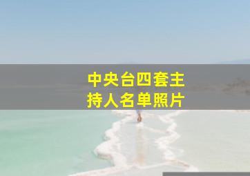 中央台四套主持人名单照片