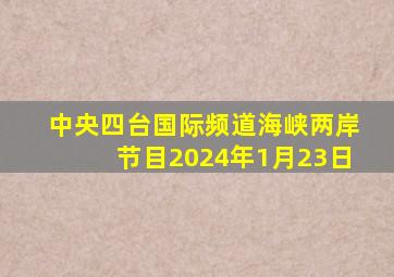 中央四台国际频道海峡两岸节目2024年1月23日