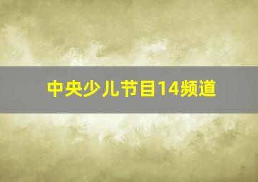 中央少儿节目14频道