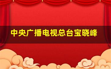 中央广播电视总台宝晓峰