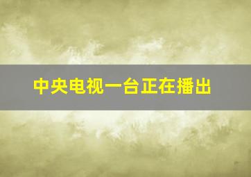 中央电视一台正在播出