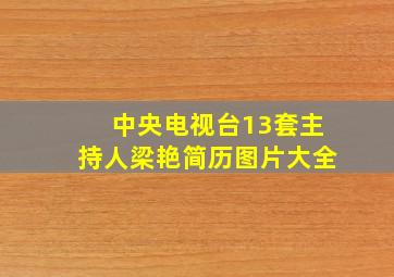 中央电视台13套主持人梁艳简历图片大全