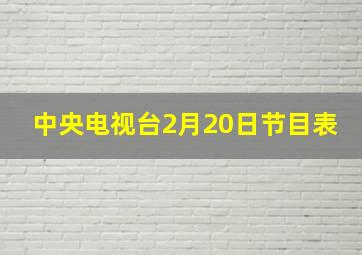 中央电视台2月20日节目表