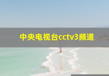 中央电视台cctv3频道