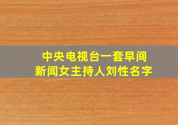 中央电视台一套早间新闻女主持人刘性名字