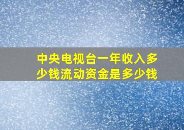 中央电视台一年收入多少钱流动资金是多少钱