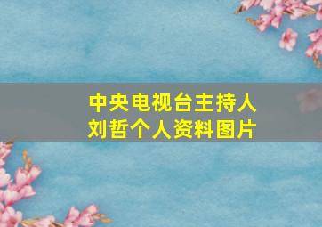 中央电视台主持人刘哲个人资料图片