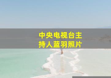 中央电视台主持人蓝羽照片