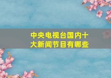 中央电视台国内十大新闻节目有哪些