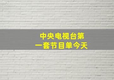 中央电视台第一套节目单今天