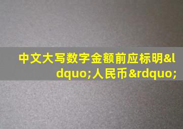 中文大写数字金额前应标明“人民币”