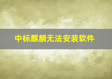 中标麒麟无法安装软件