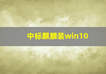 中标麒麟装win10