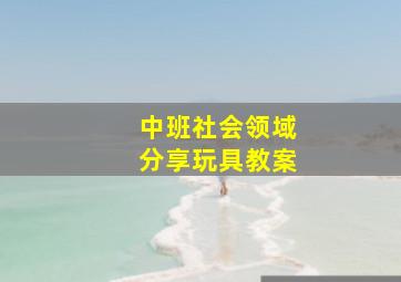 中班社会领域分享玩具教案