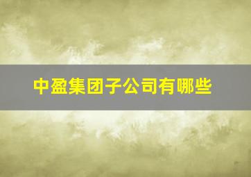 中盈集团子公司有哪些