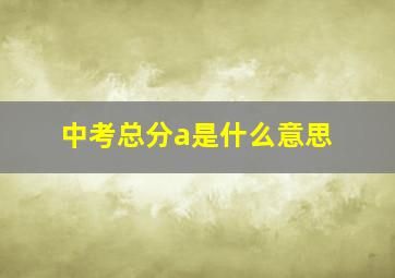 中考总分a是什么意思