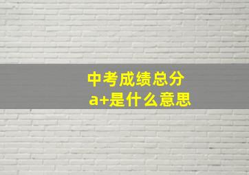 中考成绩总分a+是什么意思