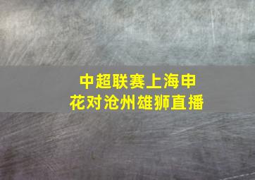 中超联赛上海申花对沧州雄狮直播