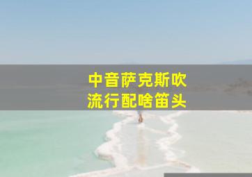 中音萨克斯吹流行配啥笛头