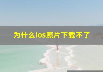 为什么ios照片下载不了