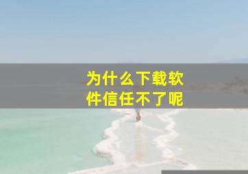 为什么下载软件信任不了呢