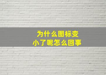 为什么图标变小了呢怎么回事