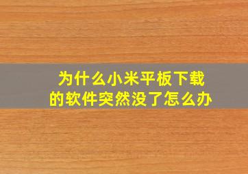 为什么小米平板下载的软件突然没了怎么办