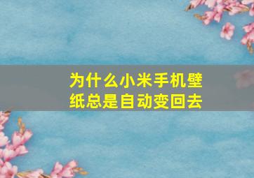 为什么小米手机壁纸总是自动变回去