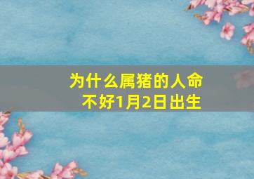 为什么属猪的人命不好1月2日出生