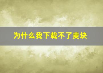 为什么我下载不了麦块