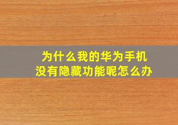 为什么我的华为手机没有隐藏功能呢怎么办