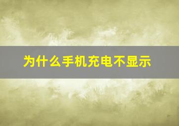 为什么手机充电不显示