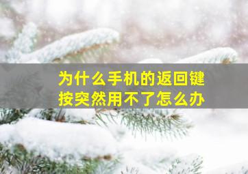 为什么手机的返回键按突然用不了怎么办