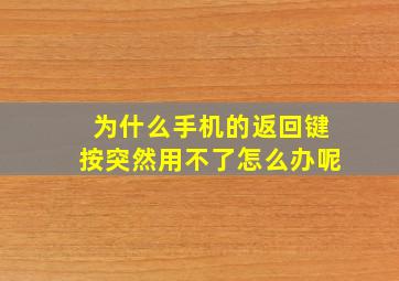 为什么手机的返回键按突然用不了怎么办呢