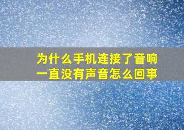 为什么手机连接了音响一直没有声音怎么回事