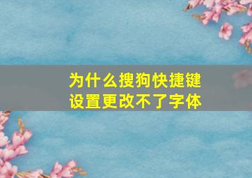 为什么搜狗快捷键设置更改不了字体