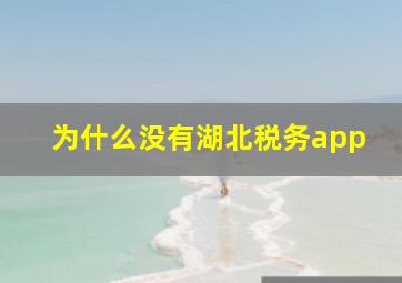 为什么没有湖北税务app