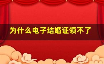 为什么电子结婚证领不了