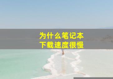 为什么笔记本下载速度很慢