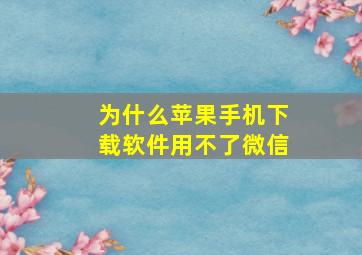 为什么苹果手机下载软件用不了微信