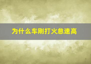 为什么车刚打火怠速高